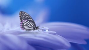 Cocooning in Corona-Zeiten