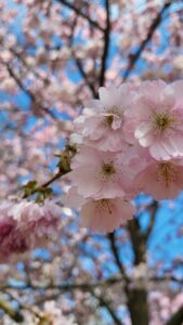 Frühling in der Führung