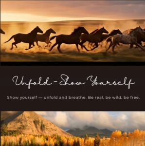 2026 Feuerpferd-Jahr – Show yourself